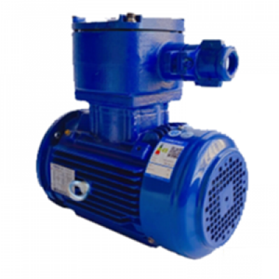 TECO Exd IIBT4 Explosion-Proof Motors
