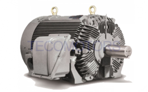 Motores a prueba de explosiones TECO NEMA