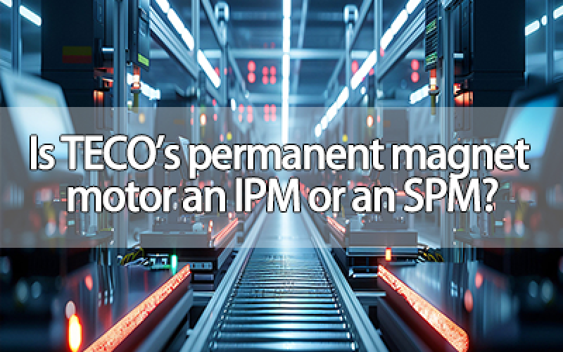 Is TECO's permanent magnet motor an IPM or an SPM?