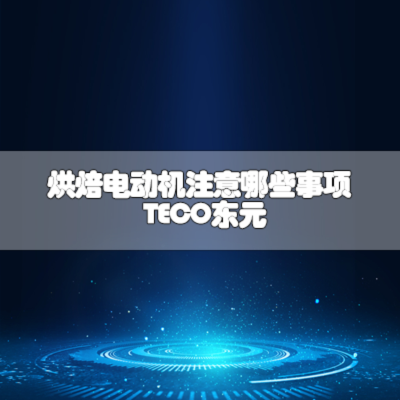 烘焙電動(dòng)機(jī)注意哪些事項(xiàng)